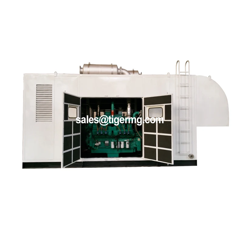 Generate Electricity From Biomass Wood Gasifier Machine Wood Burning Electricity Generator