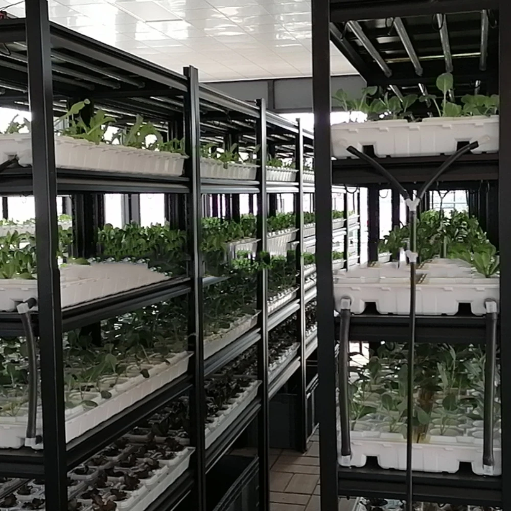 Commercial vertical grow rack system for medical plants