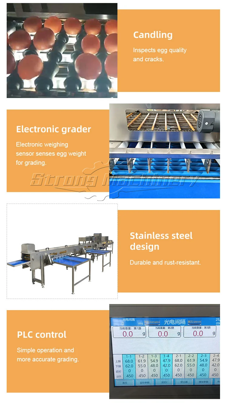 Egg Weight Grading Sorter Egg Grading and Candling Machine| Alibaba.com