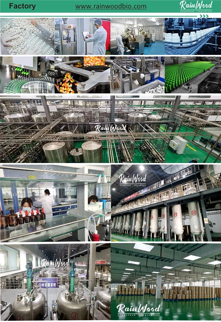 Inulin Chicory Root Extract Inulin Powder Supplement Inulin Manufacturer