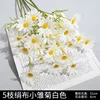1 tissu de soie petite marguerite blanche