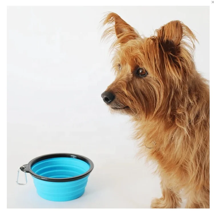Customized OEM&ODM Dog Emergency First Aid Bag Medical Pet First Aid Kit for Home Travel Outdoor Hiking Camping
