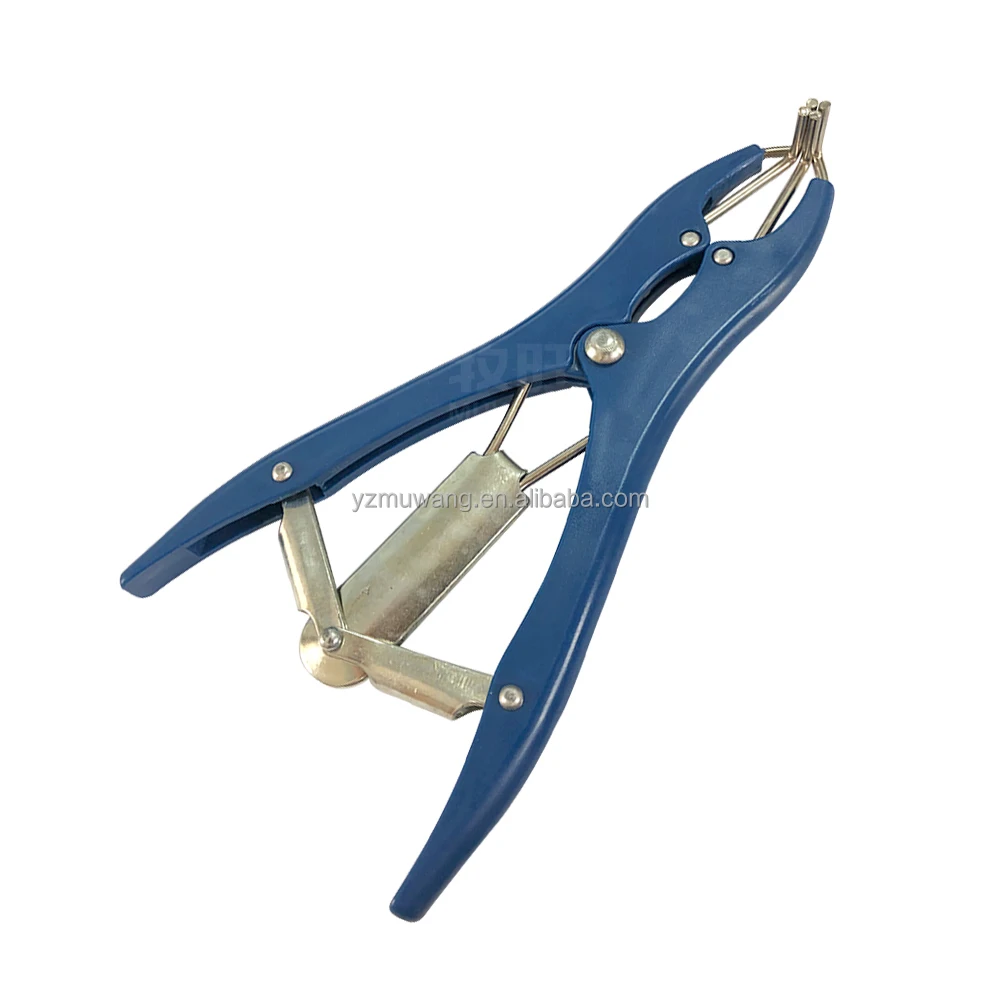 Elasticity Castration Rubber Rings Castrated Ring Elastic Band