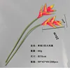 Tige unique de 70 cm avec 5 fleurs, Phénix de Feu