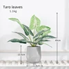 Taro leaves