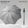 Deep Winter Gray
