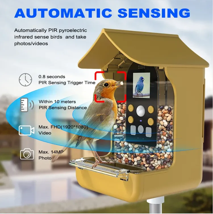 Latest Wholesale Smart Bird Feeder Camera Wbf50 1080p Bird Watching