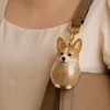 Corgi de Xiaobao