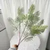 Mimosa verde uno-100 cm