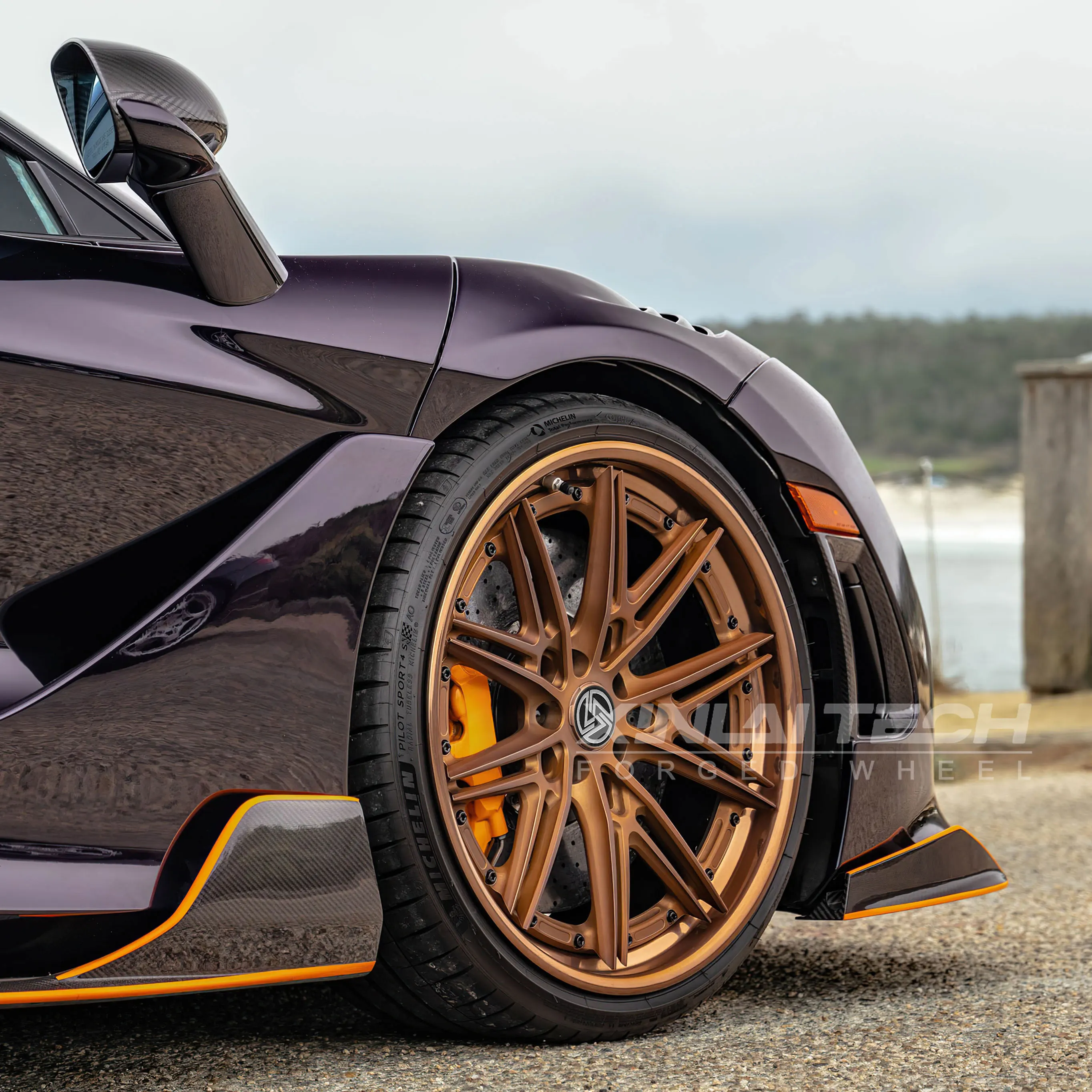 XL Custom Bronze Forged Alloy Wheels 2-Piece/3-Piece Multi-Spoke Rims for Luxury Sports Cars Performance Wheels - Image 3