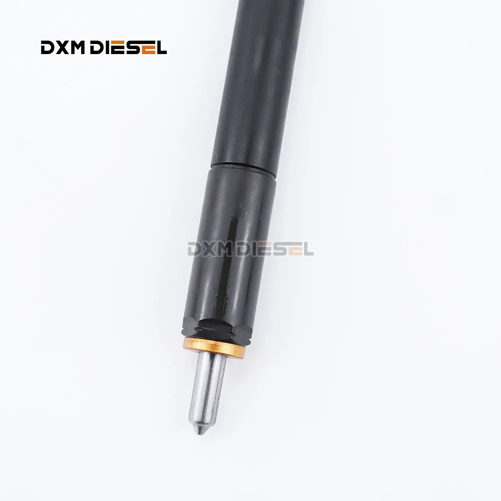 DXM The original and genuine D-E-LPHI Common rail injector EJBR04701D for SSANGYONG A6640170221 manufacture