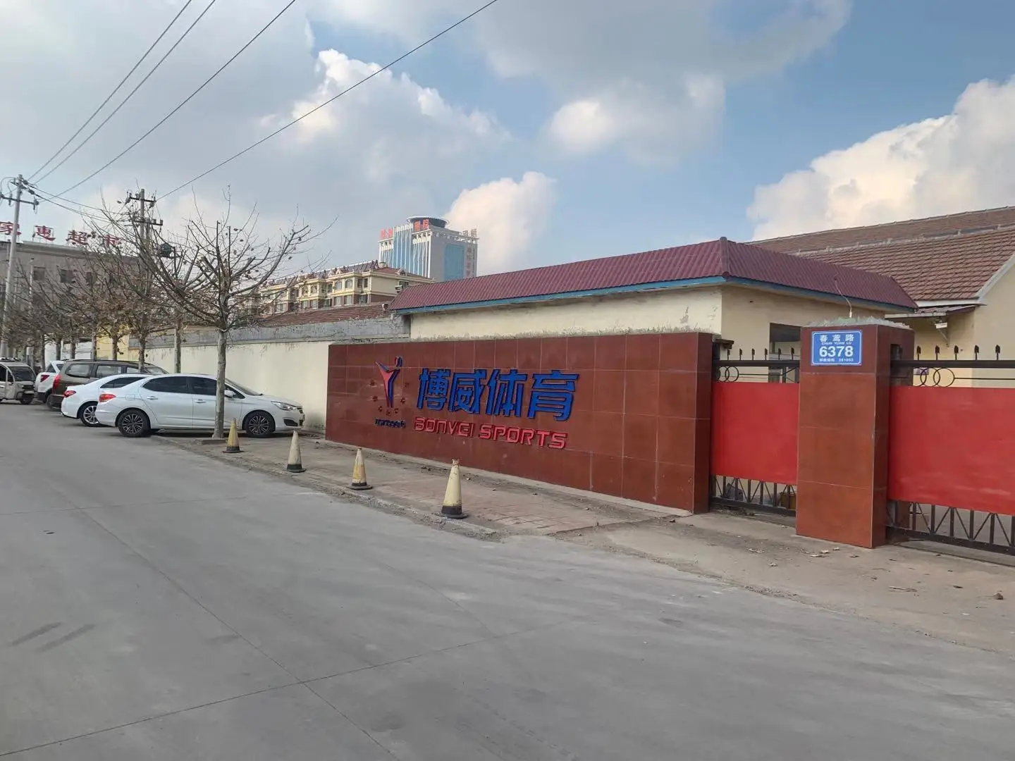 Shandong Bowei Sporting Industrial Co., Ltd. 1