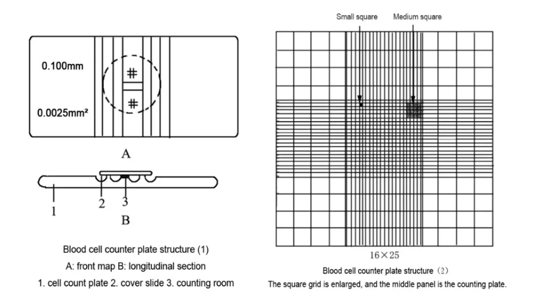 Medical Glass Blood Cell Counting Chamber For Chemical Lab - Buy Blood ...