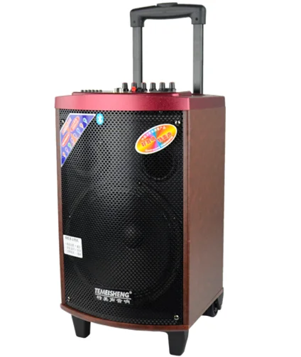 TEMEISHENG 10 Inch Portable USB BT Rechargeable Portable Speaker