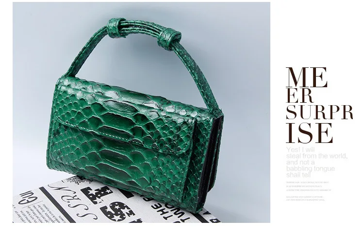 green brahmin bolsas
