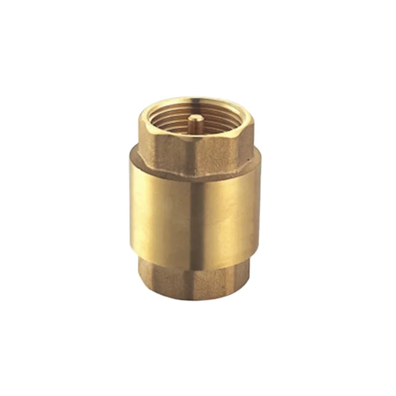 K405 Brass spring check valve with brass core Euro standard male threaded