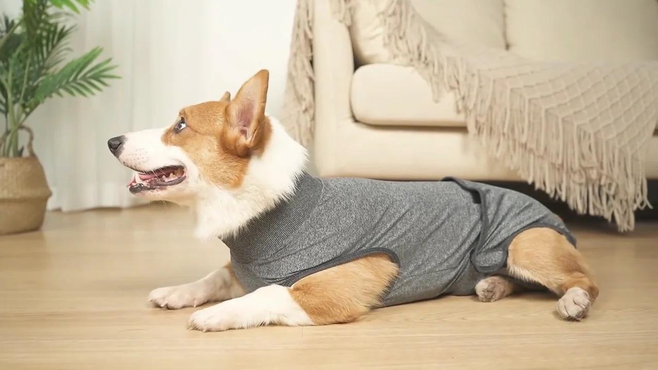 Dog Physiological Recovery Suit Dog Diaper Clothes Pet Dog Turtleneck