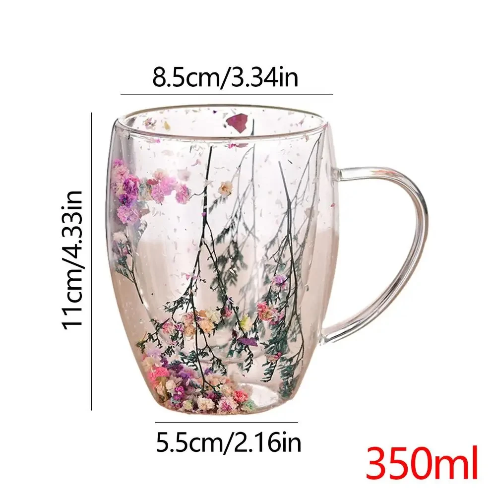 Double Wall Glass Cup With Dry Flowers Inside Borosilicate Glass Cups ...