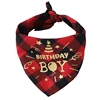 Ragazzo rosso