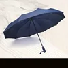 lluvia azul