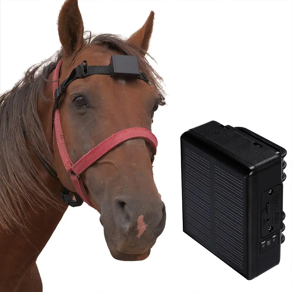 China Waterproof  Self Charging GPS Tracking Device Cow Solar GPS Tracking Chip Tracker for Cow Sheep