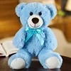 Orsetto di peluche blu
