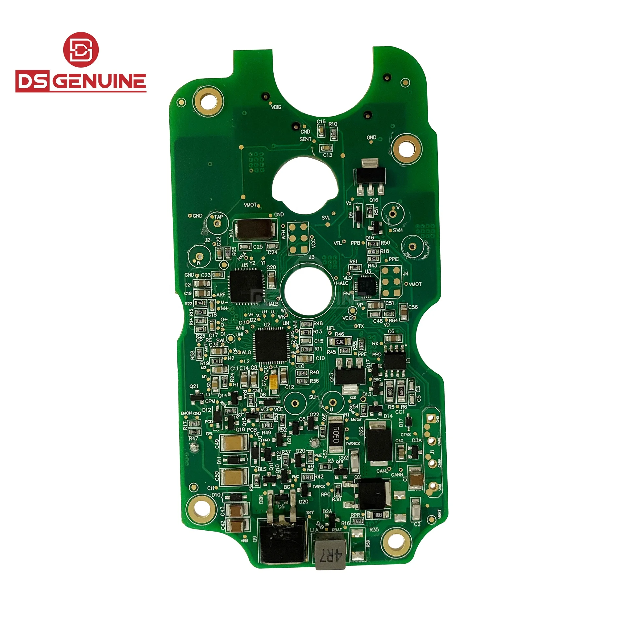 ビカクシダ P. Lemoinei no shield P. Lemoinei no shield (pup) | naturefix