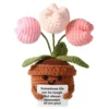 Pink tulip