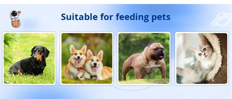 Durable Silicone Pet Slow Food Bowls for Cats & Dogs-Double Bowls Food Grade Material Portable supplier