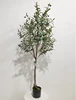 Green 150cm (Detachable Version)