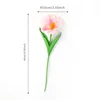 Light pink-centered tulips