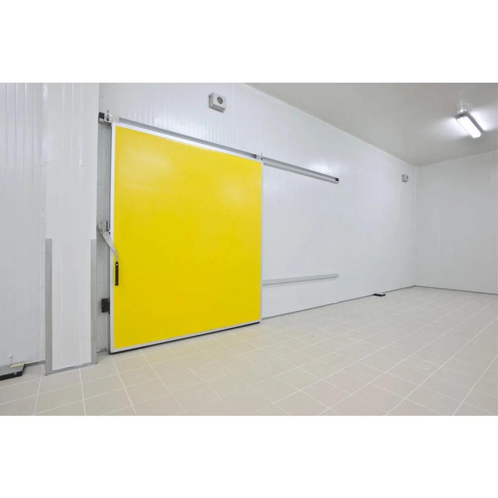 Exterior Interior steel Sliding cold storage door High Speed Rolling