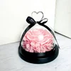 12*13 cm (Colori Selezionabili)