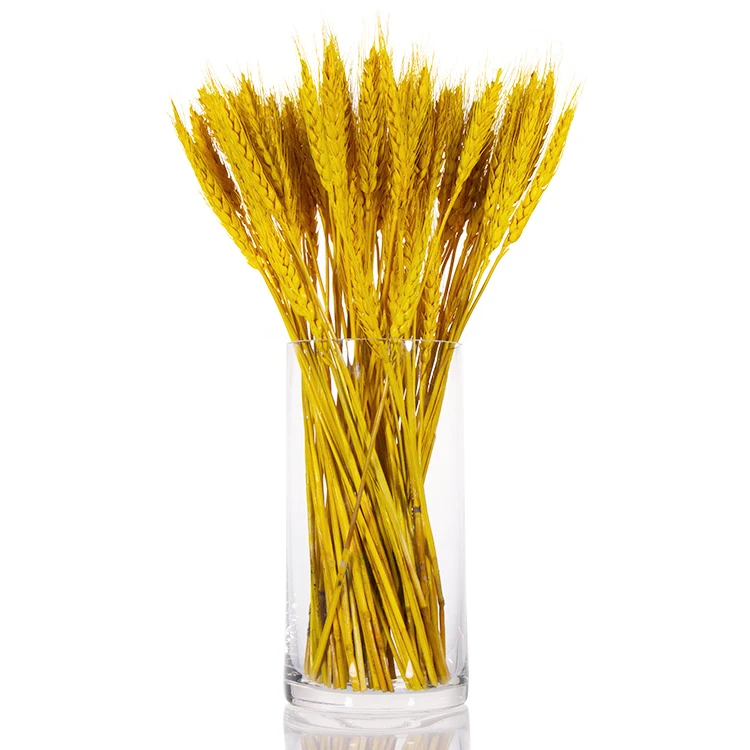 Большой прозрачный напольный цветочный цилиндр 30 40 50 60 см Высота 10 20 25 высокая стеклянная ваза для