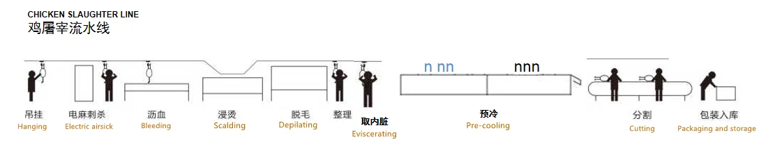 Poultry Slaughterhouse Equipment - Efficient Chicken Farming