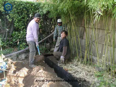 Bamboo Root Barrier for Root Guard in Canada