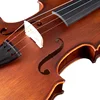 Viola