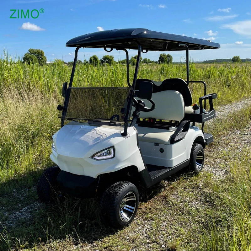 Хит продаж, сельскохозяйственная 2-местная 4-местная внедорожная электрическая тележка для гольфа, спортивная машина для взрослых бок о бок