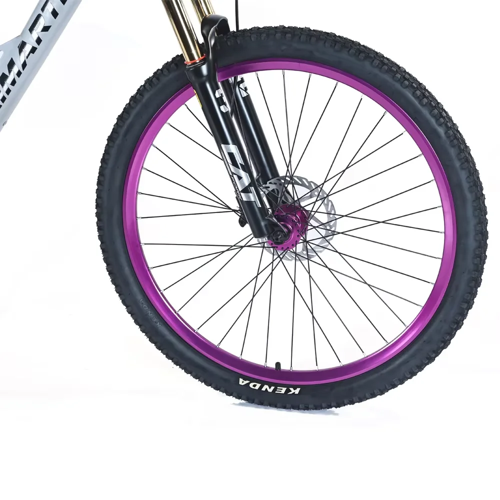 2025 New MTB Bicycle 27.5'' Aluminum Alloy Frame China Factory Downhill Bike Mountain Cycle