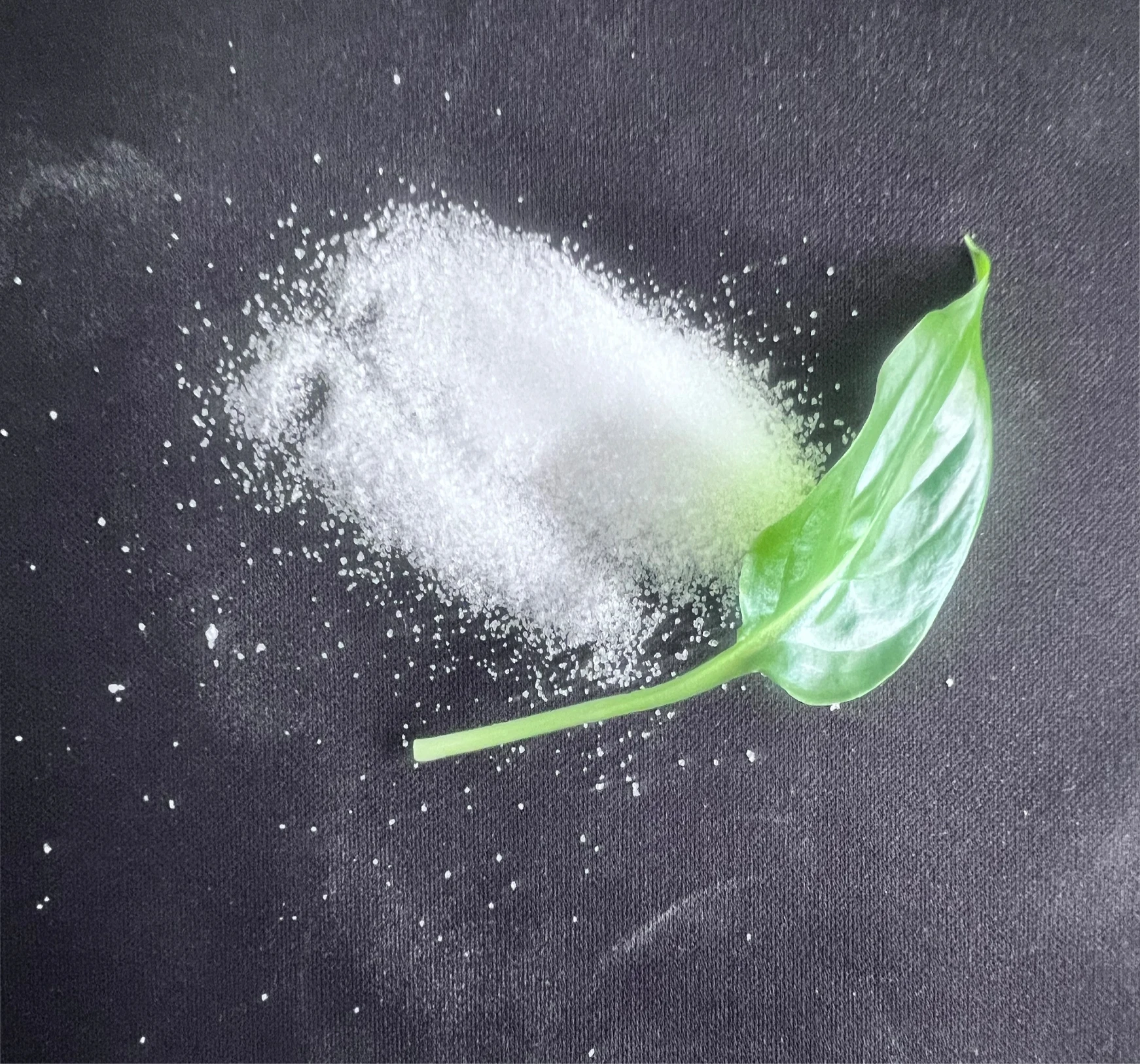 Shop Anhydrous Sodium Sulphate, Power Sodium Sulphate Anhydrous-Detailed Image 3