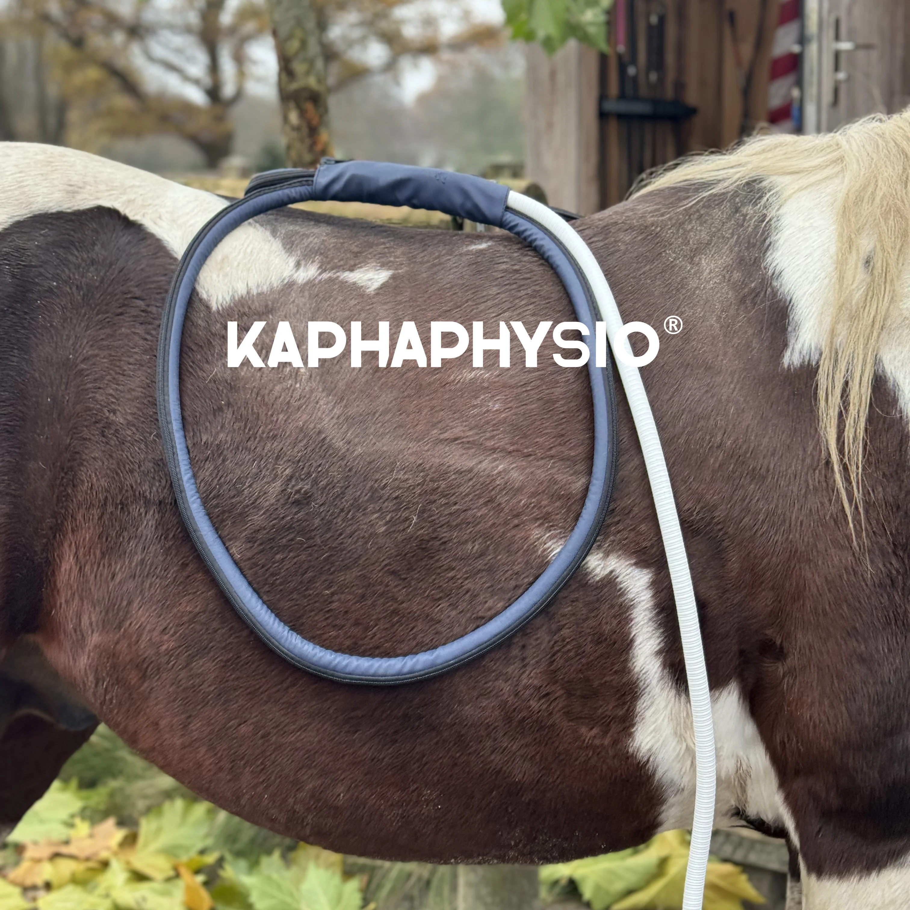 Stock Available  PMST Loop Pro B PEMF Electro Magnetic Therapy Horse Device for Pain Relief