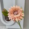 Teddy Sunflower