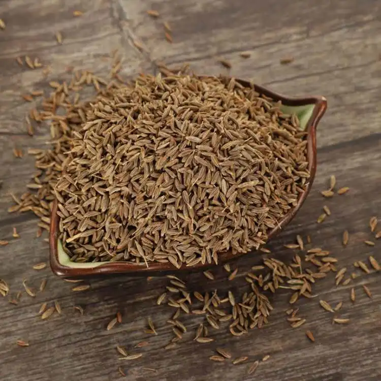 High Quality Supplier Price Indian Cumin Whole Spices Dried Cumin Seeds