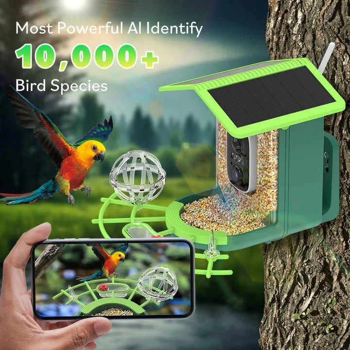 Mangeoire à Oiseaux Avec Caméra 2K HD Et IA - Alimentation Solaire, étanche IP65, Notification Instantanée - 4