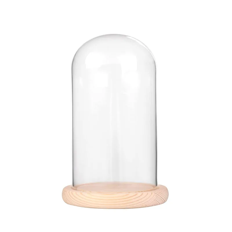 Decorative Bell Jars Glass Domes with Original Wooden Base