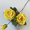 Young Yellow