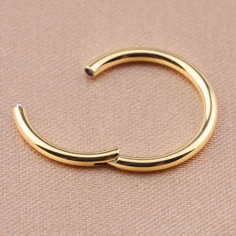 Wholesale F136 Titanium Nose Ring Ear Helix Tragus Ring Gold Hinged Segment Ringsdesigner Nose Ring Hoop