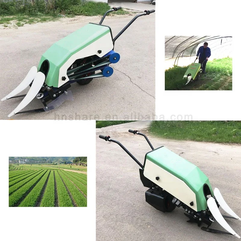 Fennel Harvesting Machine Leek Cutter Spinach Cutting Machine