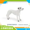 PL127-2585 Ridgeback de Rhodesia 14g