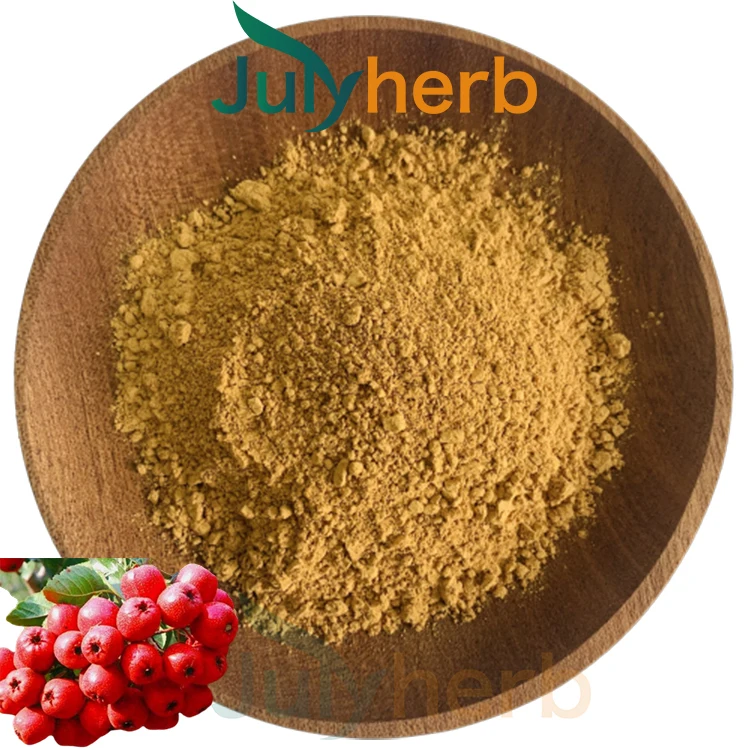 Hawthorn leaf extract powder 